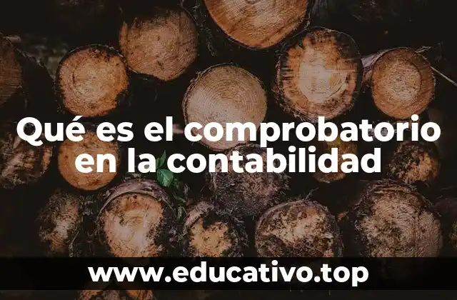 Qué es el comprobatorio en la contabilidad