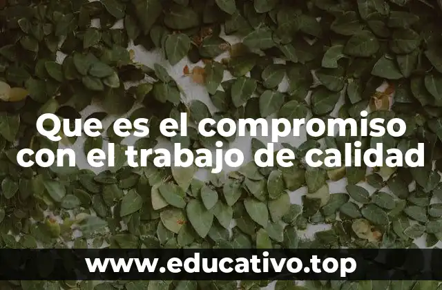 Que es el compromiso con el trabajo de calidad