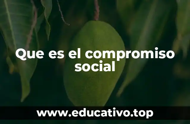 Que es el compromiso social