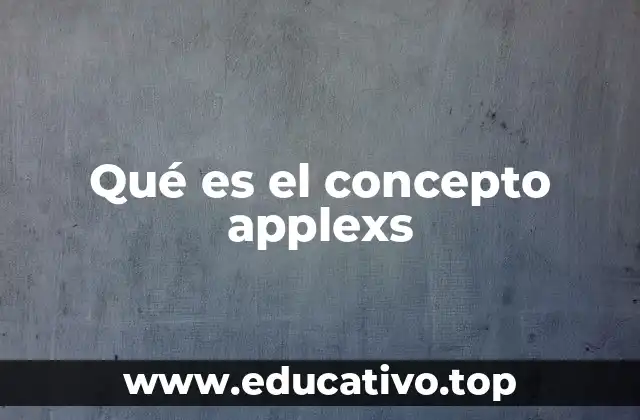 El enfoque multidimensional del concepto applexs