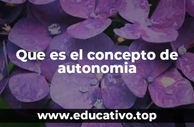 Que es el concepto de autonomia