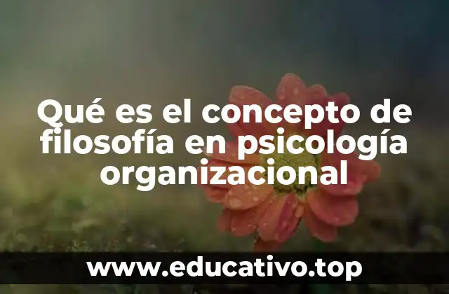 Qué es el concepto de filosofía en psicología organizacional