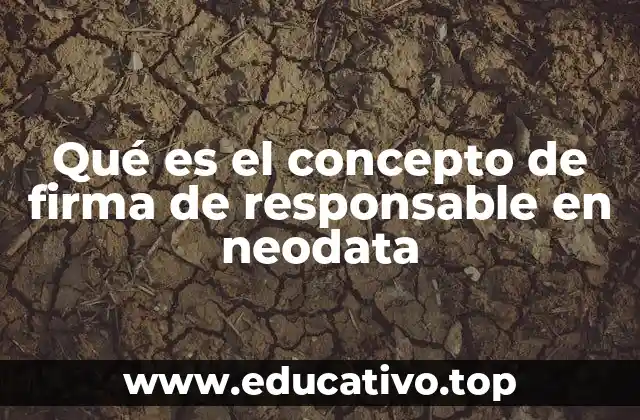 Qué es el concepto de firma de responsable en neodata