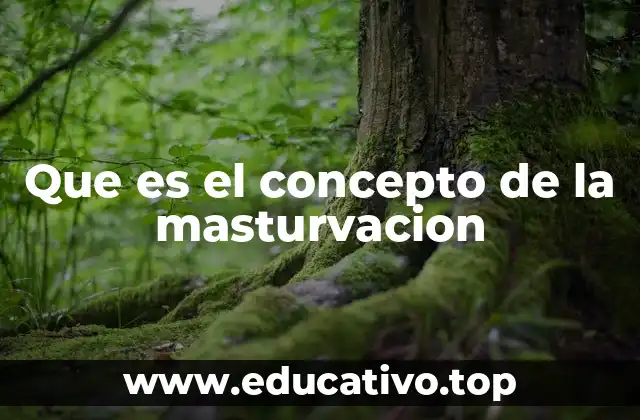 Que es el concepto de la masturvacion
