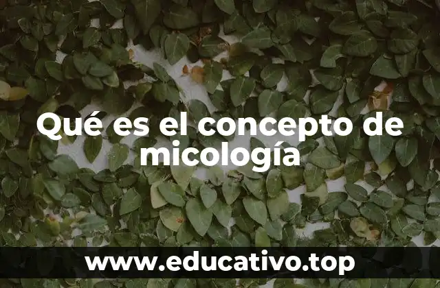Qué es el concepto de micología