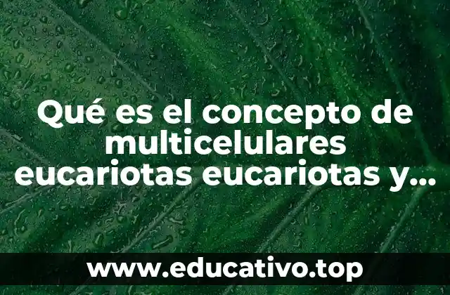 Qué es el concepto de multicelulares eucariotas eucariotas y heterótrofos