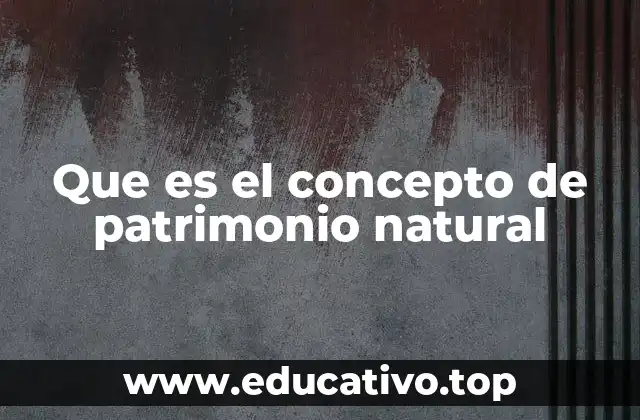 Que es el concepto de patrimonio natural