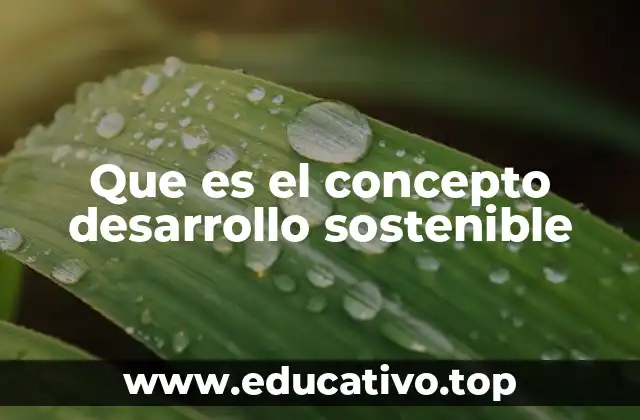 Que es el concepto desarrollo sostenible