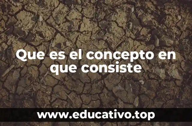 Que es el concepto en que consiste