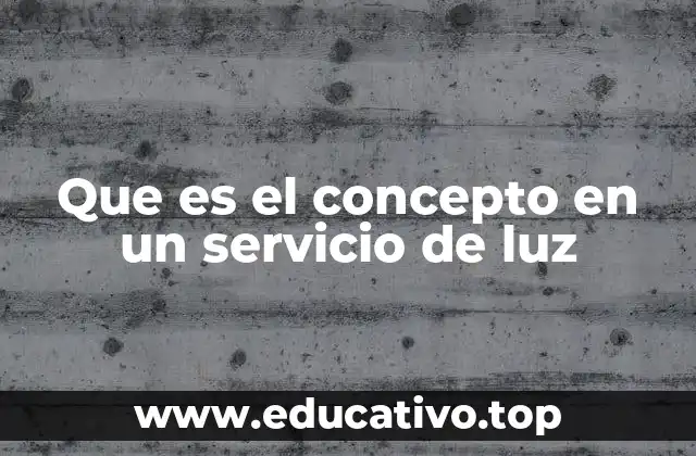 Que es el concepto en un servicio de luz