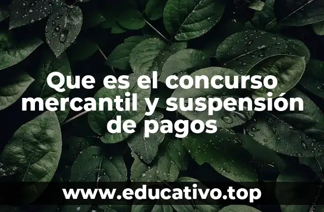 Que es el concurso mercantil y suspensión de pagos