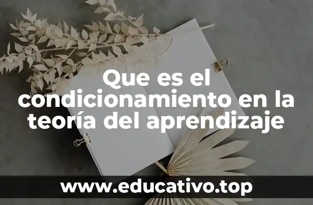 Que es el condicionamiento en la teoría del aprendizaje