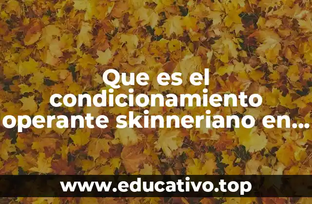 Que es el condicionamiento operante skinneriano en psicologia