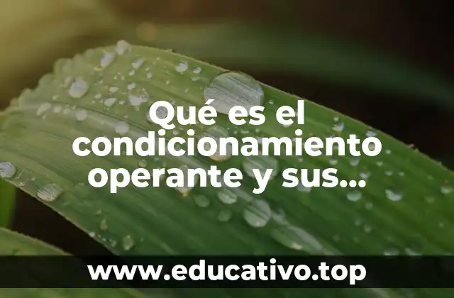 Qué es el condicionamiento operante y sus elementos