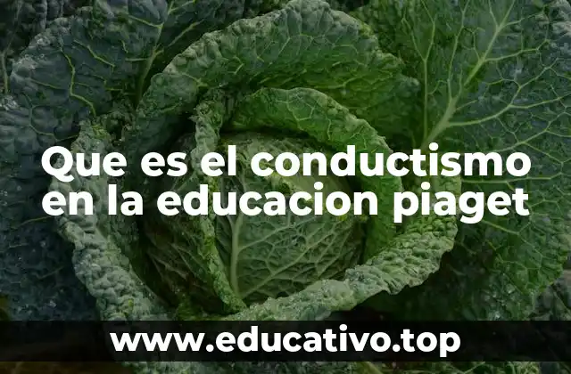 Que es el conductismo en la educacion piaget