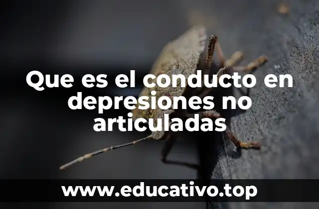 Aplicaciones prácticas de los conductos en depresiones no articuladas