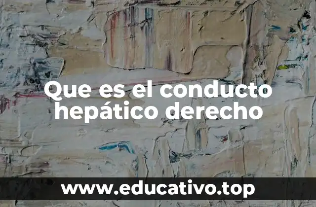 Que es el conducto hepático derecho