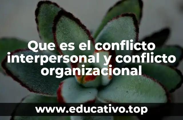 Que es el conflicto interpersonal y conflicto organizacional