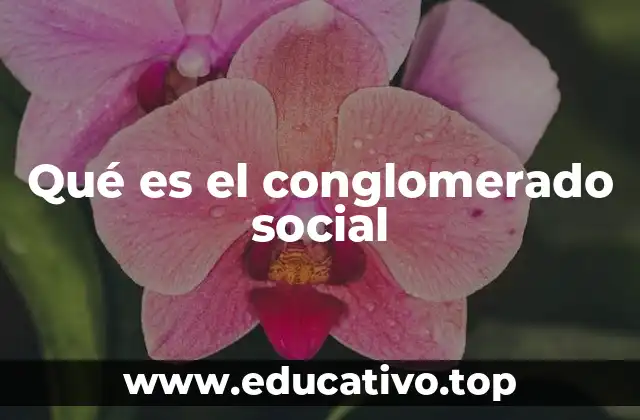 Qué es el conglomerado social