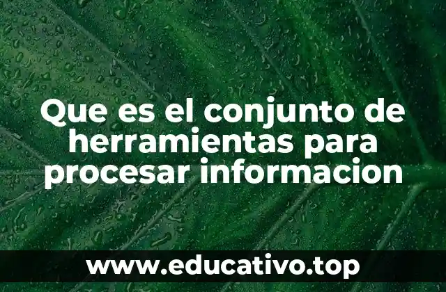 Que es el conjunto de herramientas para procesar informacion