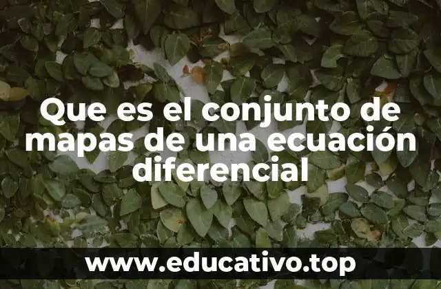 Que es el conjunto de mapas de una ecuación diferencial