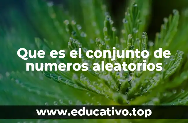 Que es el conjunto de numeros aleatorios