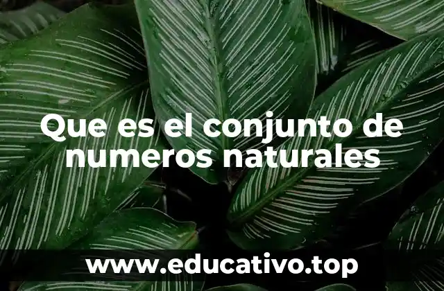 Origen y evolución del concepto de números naturales