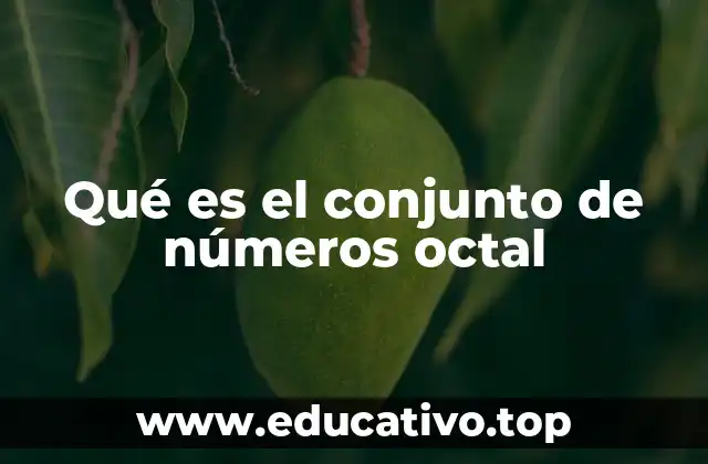 El sistema octal y su importancia en la representación de datos
