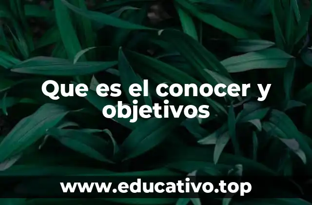 Que es el conocer y objetivos