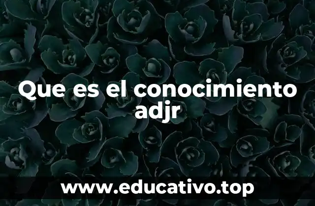 Que es el conocimiento adjr