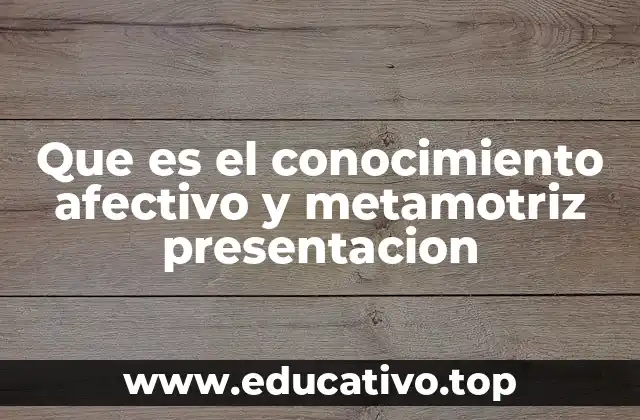 Que es el conocimiento afectivo y metamotriz presentacion