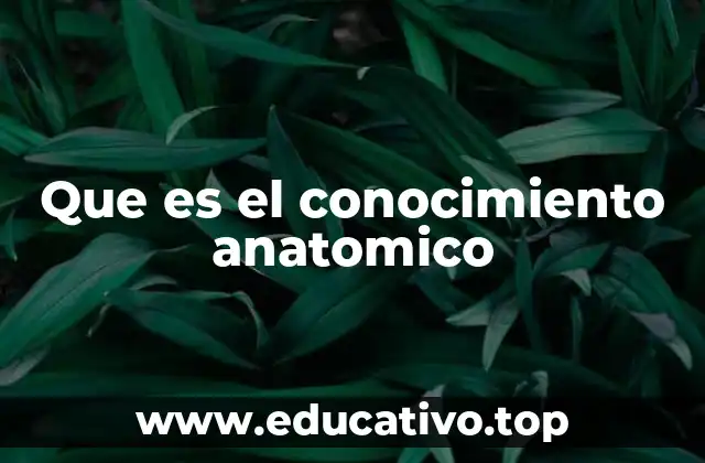 Que es el conocimiento anatomico