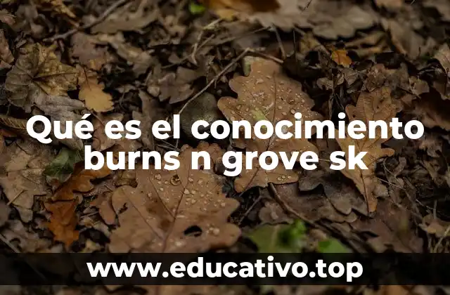 Qué es el conocimiento burns n grove sk