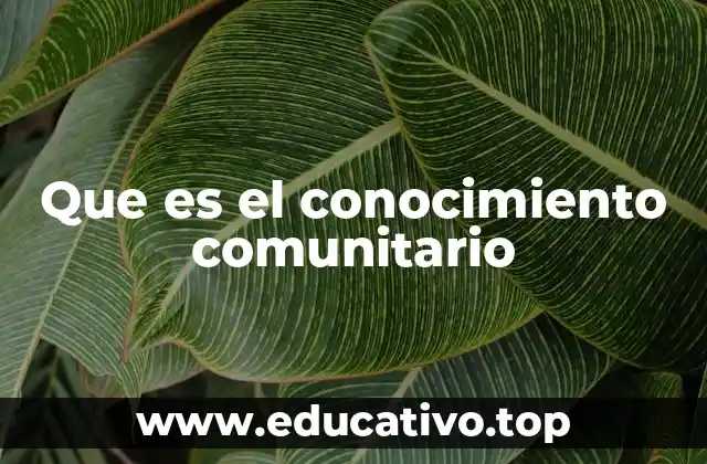 Que es el conocimiento comunitario