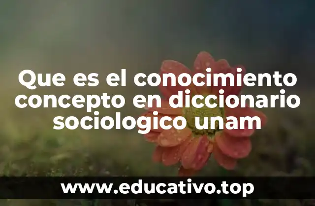 Que es el conocimiento concepto en diccionario sociologico unam