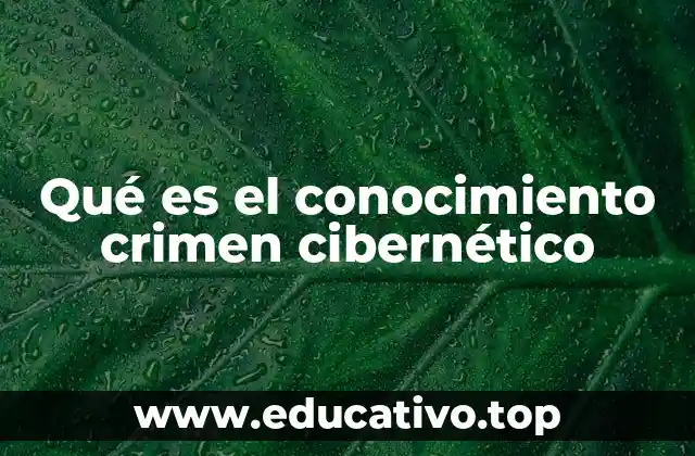 Qué es el conocimiento crimen cibernético