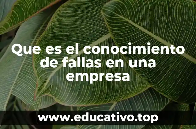 Que es el conocimiento de fallas en una empresa