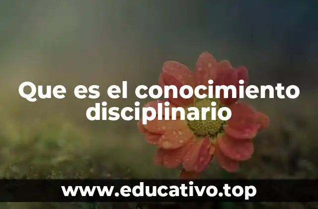 Que es el conocimiento disciplinario