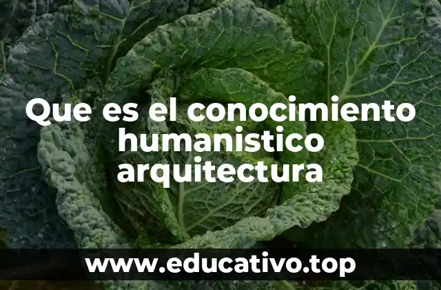 Que es el conocimiento humanistico arquitectura