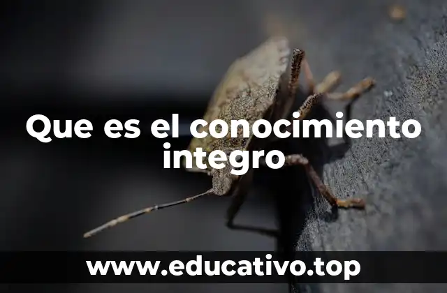 Que es el conocimiento integro