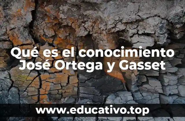 Qué es el conocimiento José Ortega y Gasset