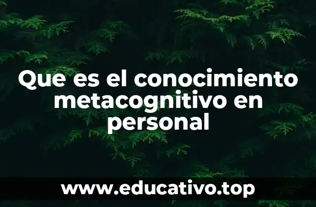Que es el conocimiento metacognitivo en personal