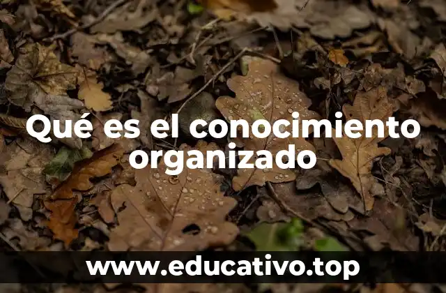 Qué es el conocimiento organizado