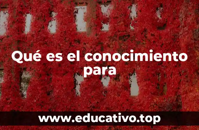 Qué es el conocimiento para