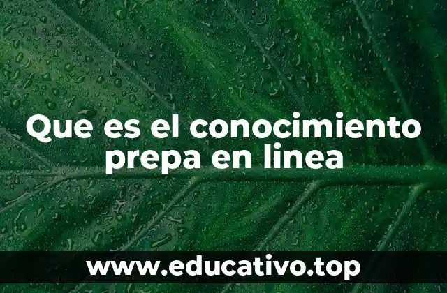 Que es el conocimiento prepa en linea