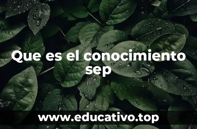 Que es el conocimiento sep