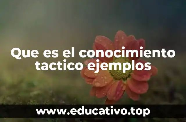 Que es el conocimiento tactico ejemplos