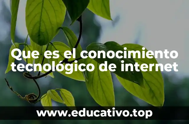 Que es el conocimiento tecnológico de internet