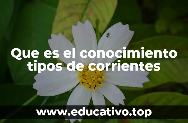 Que es el conocimiento tipos de corrientes