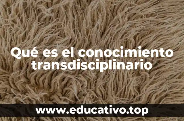 Qué es el conocimiento transdisciplinario